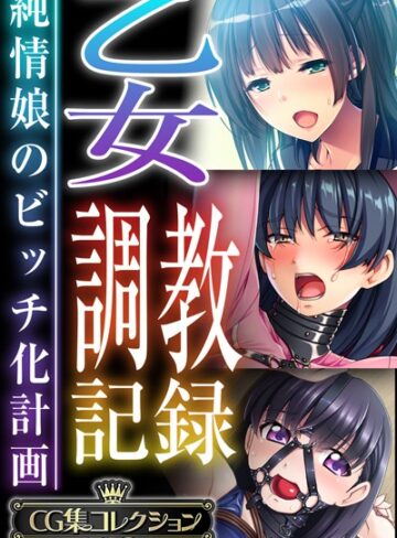 大人のSEXY絵本❤乙女調教記録〜純情娘のビッチ化計画〜【CG集コレクションBIG】｜評価