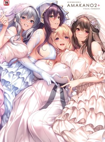 ピロ水❤アマカノ2＋ ビジュアルファンブック｜評価4.80