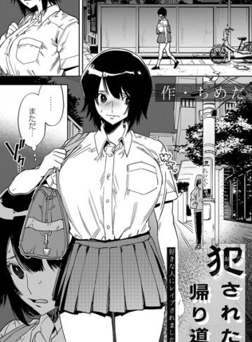 ちめだ❤犯●れた帰り道（単話）｜評価