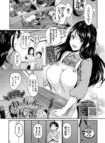 宏式❤ねーちゃんの秘密（単話）｜評価
