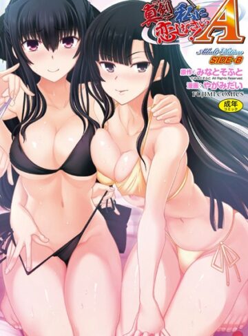 やがみだい❤真剣で私に恋しなさい！ A Adult Edition SIDE-B｜評価
